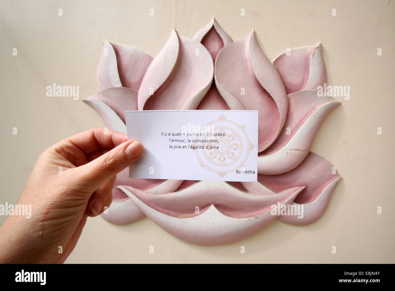 Buddha quote hi-res stock photography and images - Alamy Buddha quote hi-res stock photography and images - Alamy
