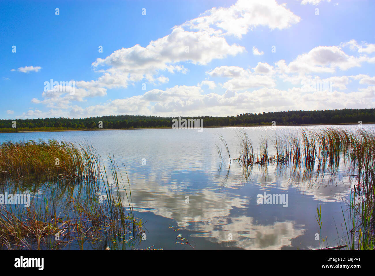 Beautiful lake clean water hi-res stock photography and images - Alamy