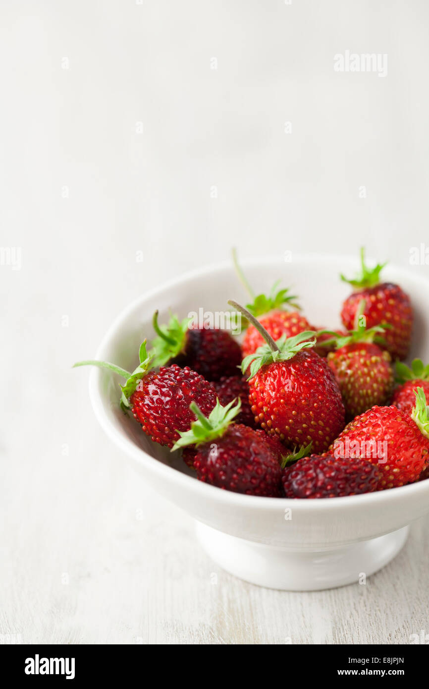 Homegrown Alpine Strawberries in Bowl Stock Photo