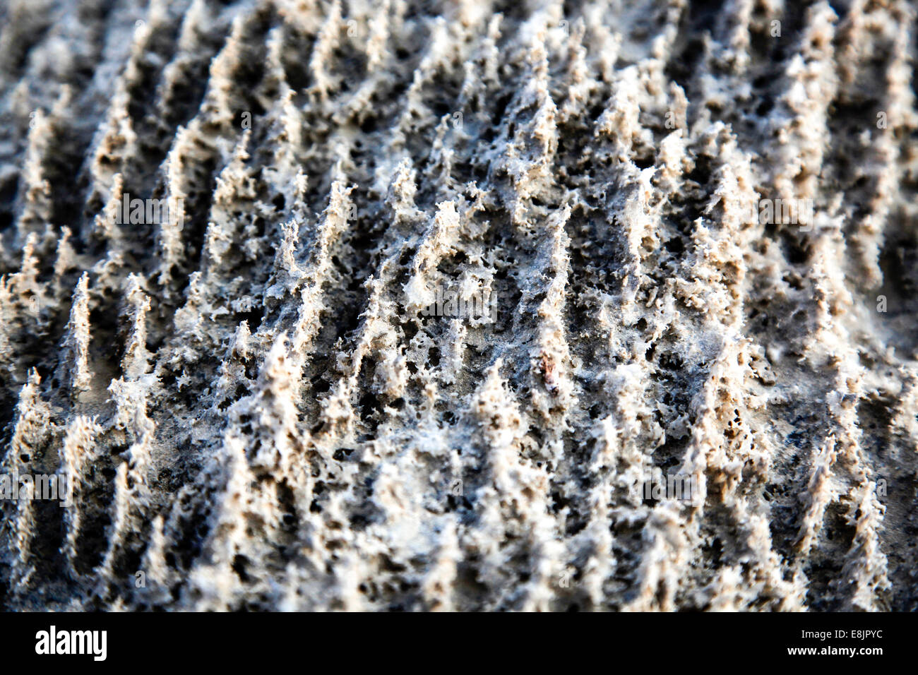 Israel, Dead Sea, salt crystalization caused by water evaporation Stock Photo