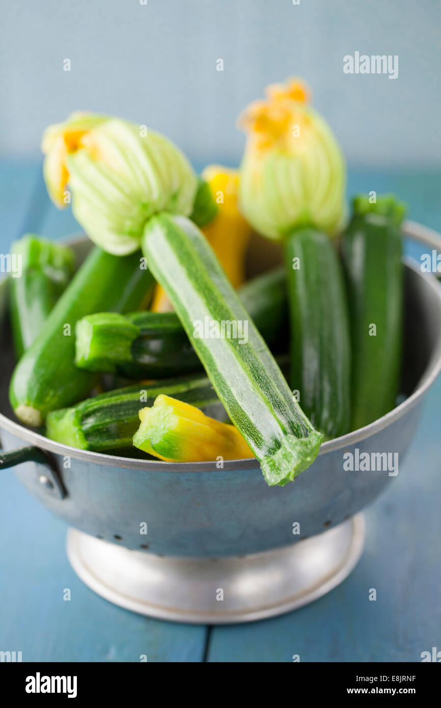 Homegrown Courgettes in Colander Stock Photo