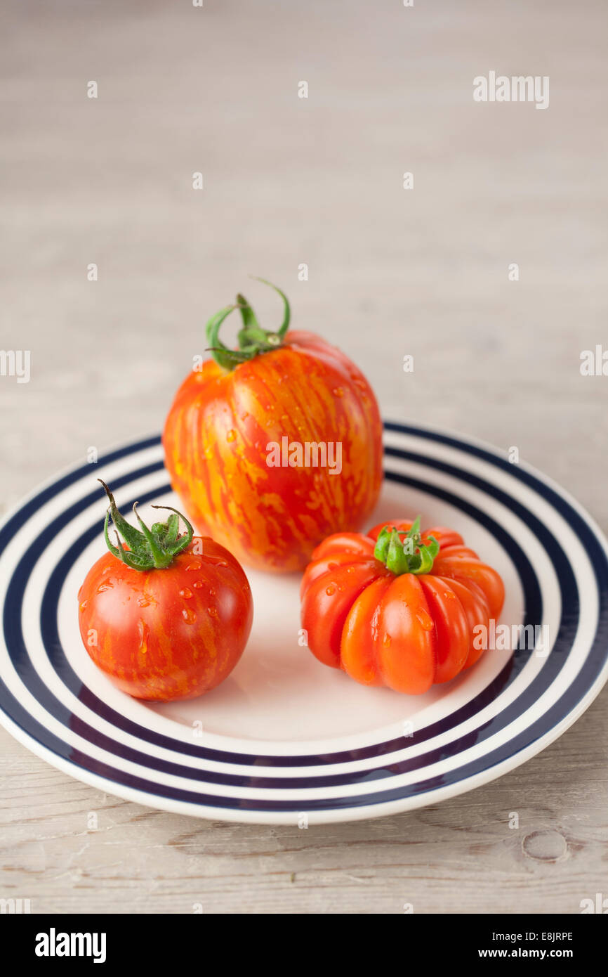 Striped Stuffer, Costoluto Fiorentino & Red Zebra Tomatoes on Plate Stock Photo