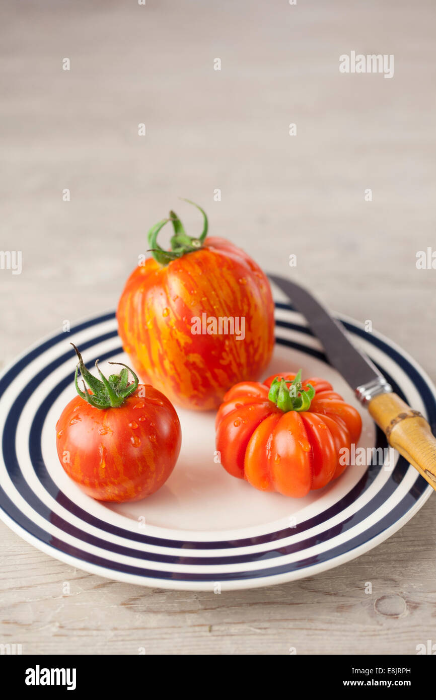 Striped Stuffer, Costoluto Fiorentino & Red Zebra Tomatoes on Plate Stock Photo