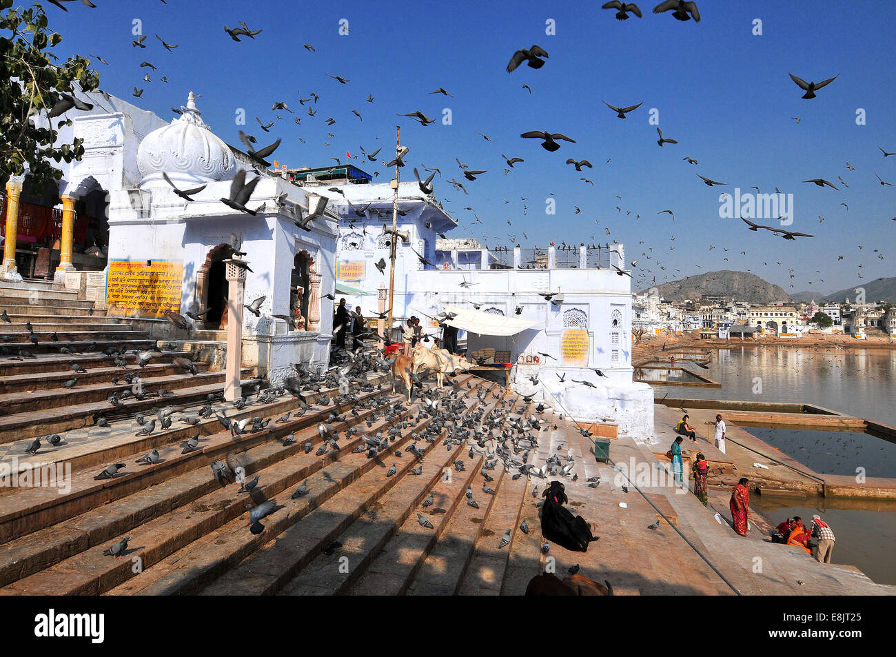 Gaths at Holy Pushkar Lake and old Rajput Palaces Stock Photo - Alamy
