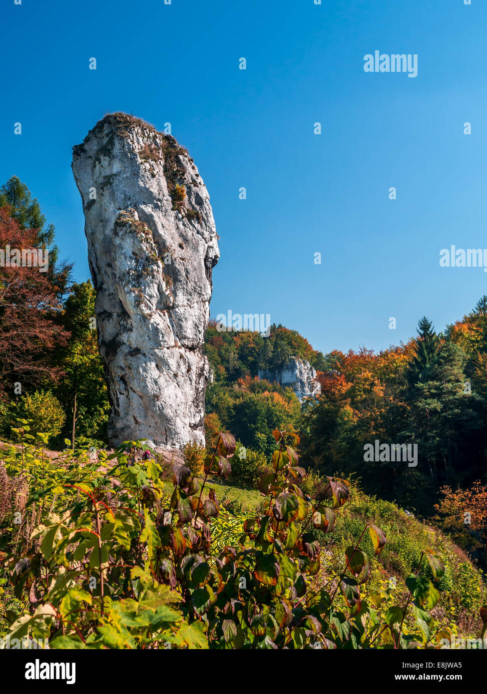 Limestone rock formation called Bludgeon of Hercules or Maczuga Herkulesa, Pieskowa Skala Stock Photo