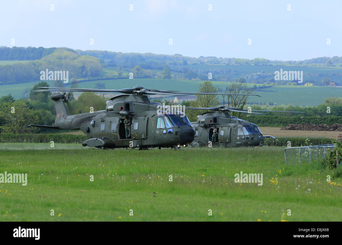 RAF Merlin helicopters, rotors running on the farm strip Stock Photo