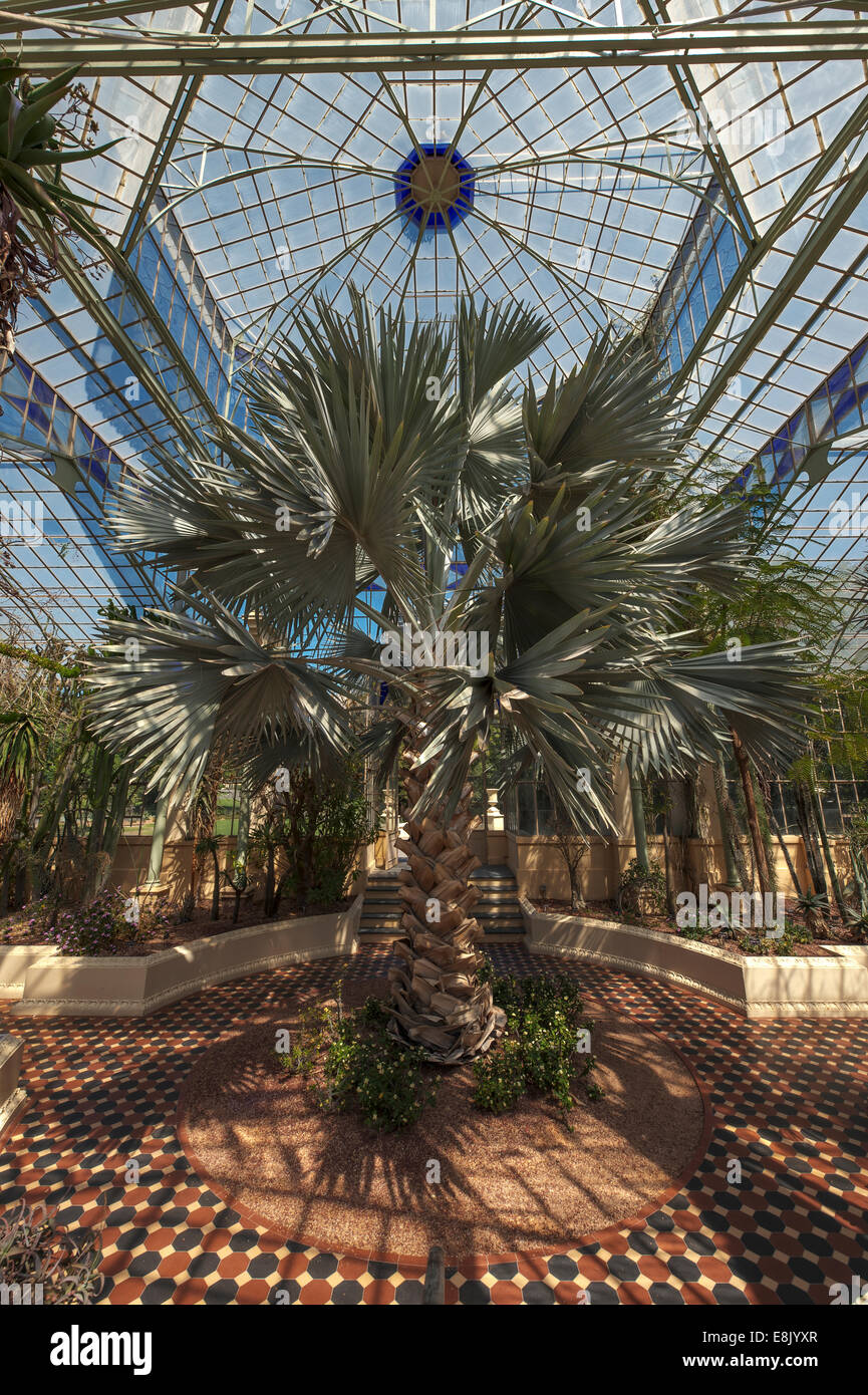 The Palm House at the Adelaide Botanic Gardens, South Australia Stock Photo