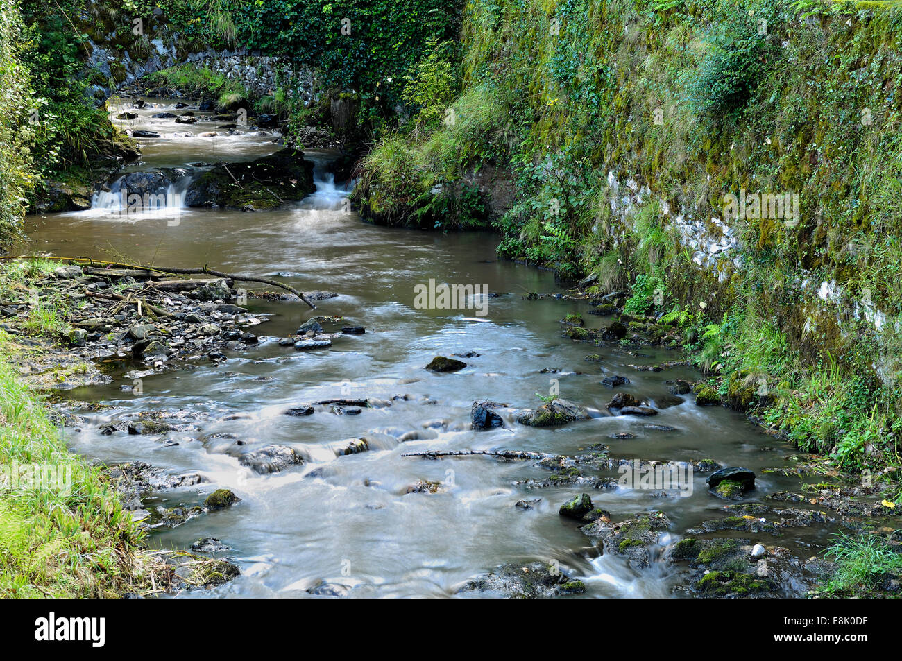 River fores hi-res stock photography and images - Alamy