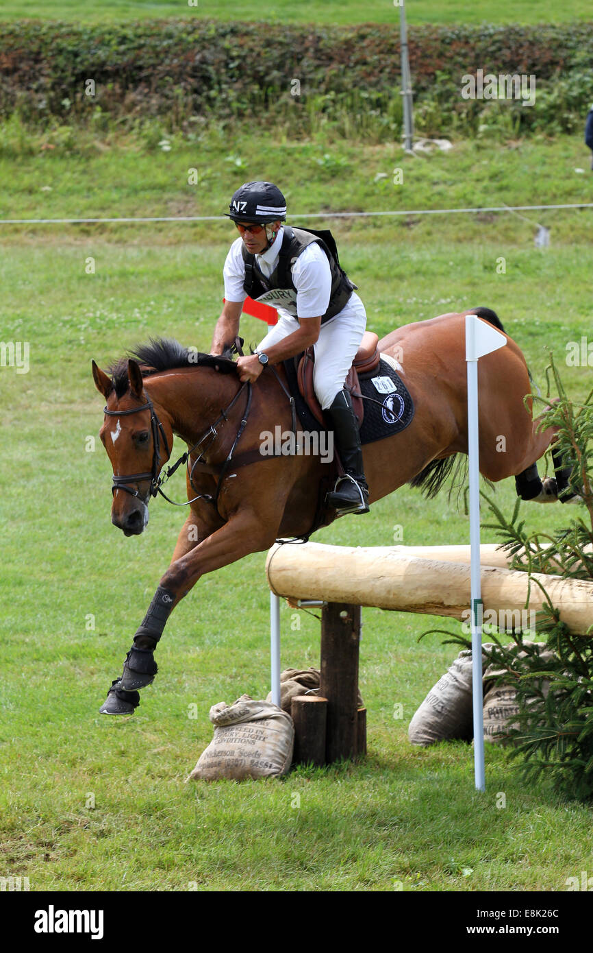 Andrew Nicholson on Ulises at Barbury Castle Horse Trials 2014 Stock Photo