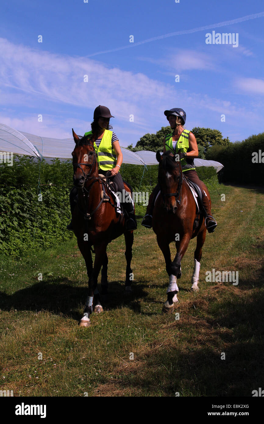Two riders out hacking/riding Stock Photo
