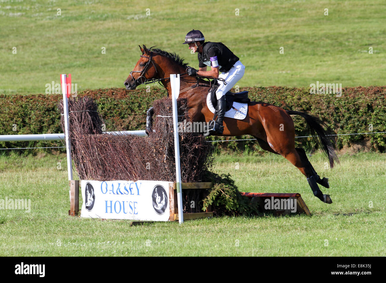 Mark Todd on Leonidas II at Barbury Castle Horse Trials 2014 Stock