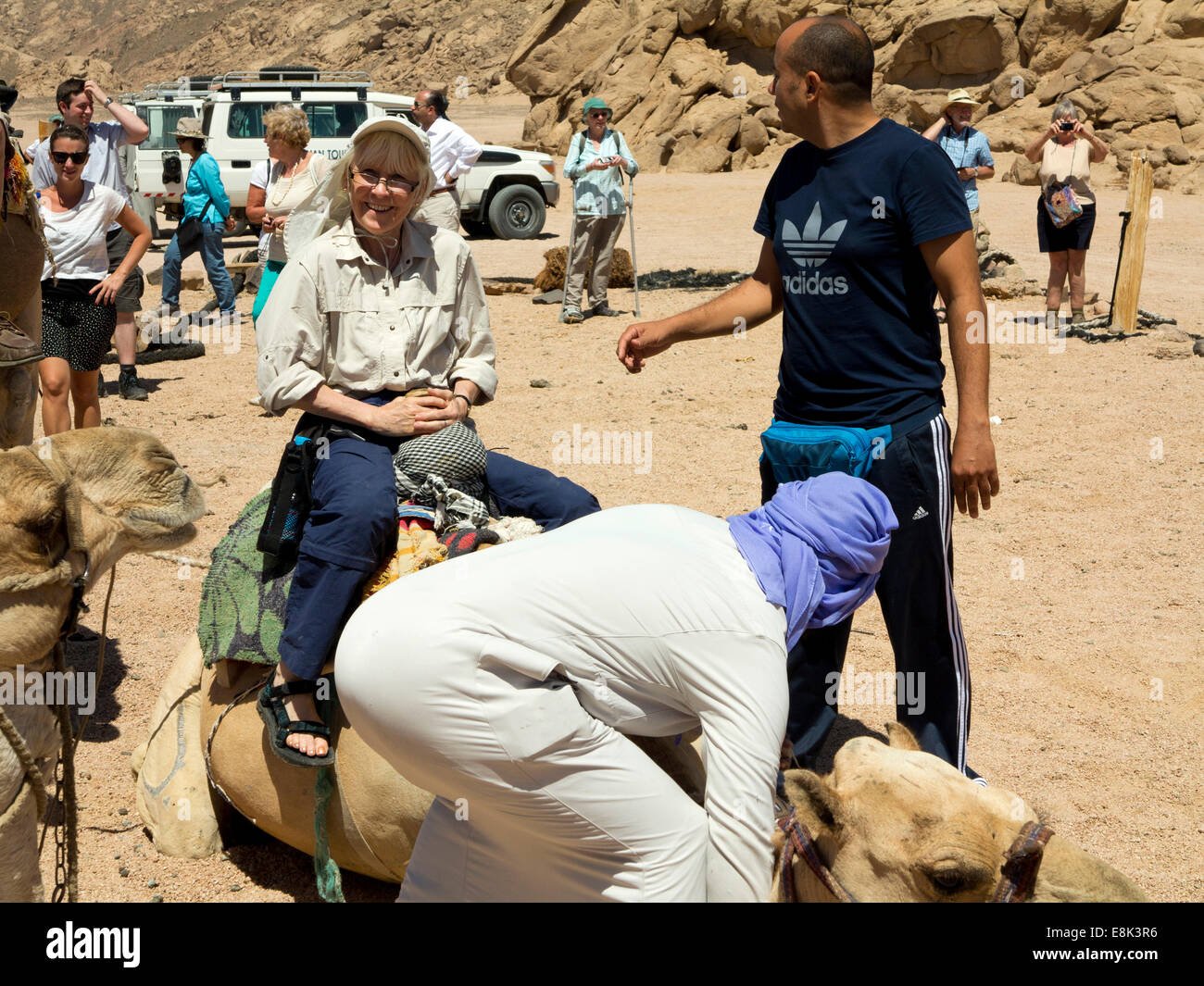 Egypt, Sinai, Sharm el Sheikh, Nabq National Park, senior woman tourist on camel ride Stock Photo