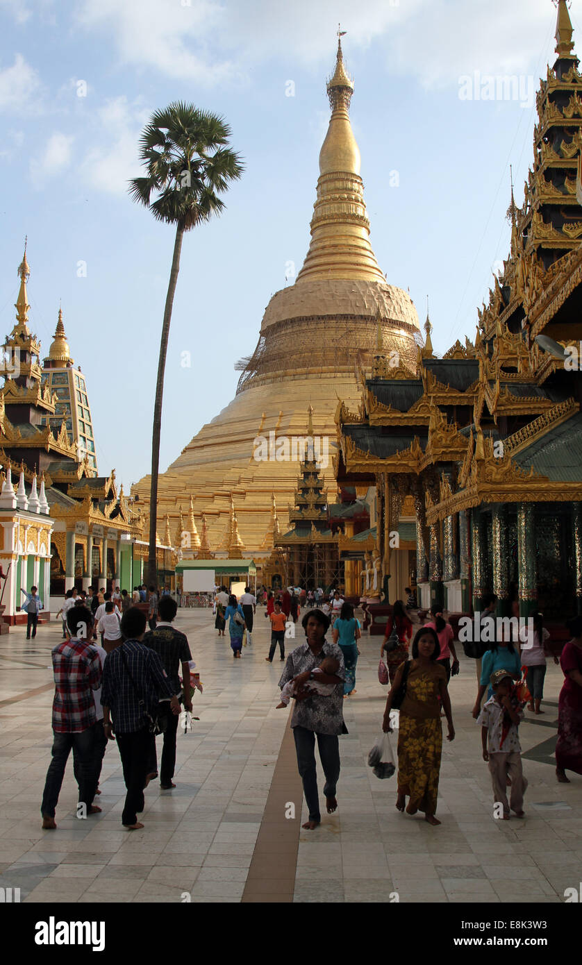Shwedagon Pagoda, Rangoon, Burma (Myanmar) Stock Photo