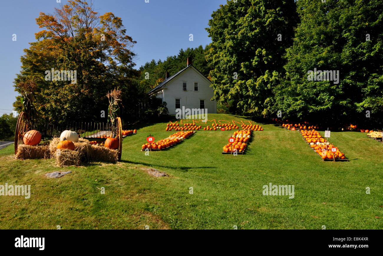 Pownal, Vermont:  Displays of pumpkins cover the lawn at the Pownal Pumpkin Farm Stock Photo