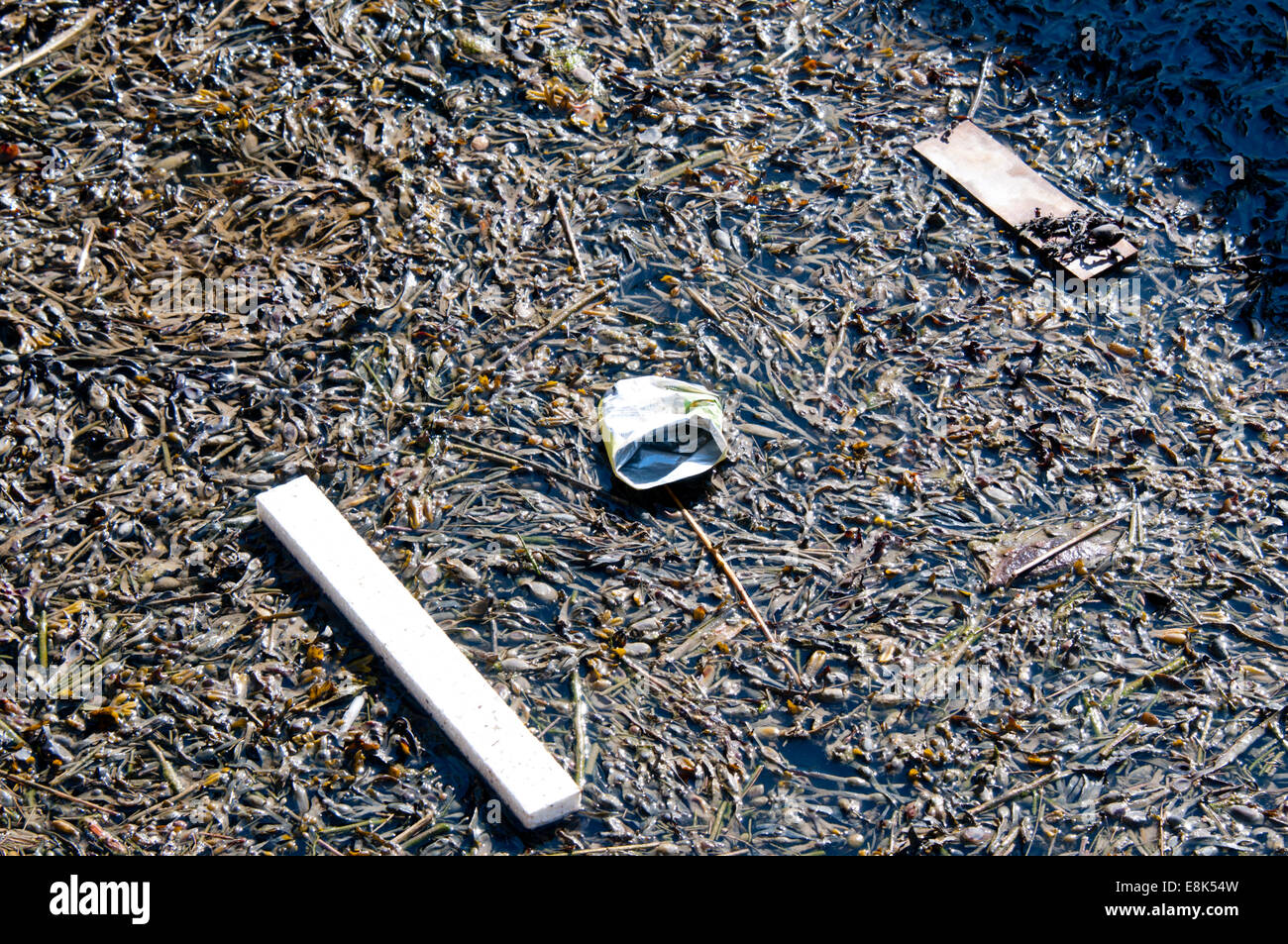 Floating debris at the waterfront at Burnham on Crouch, Essex Stock Photo