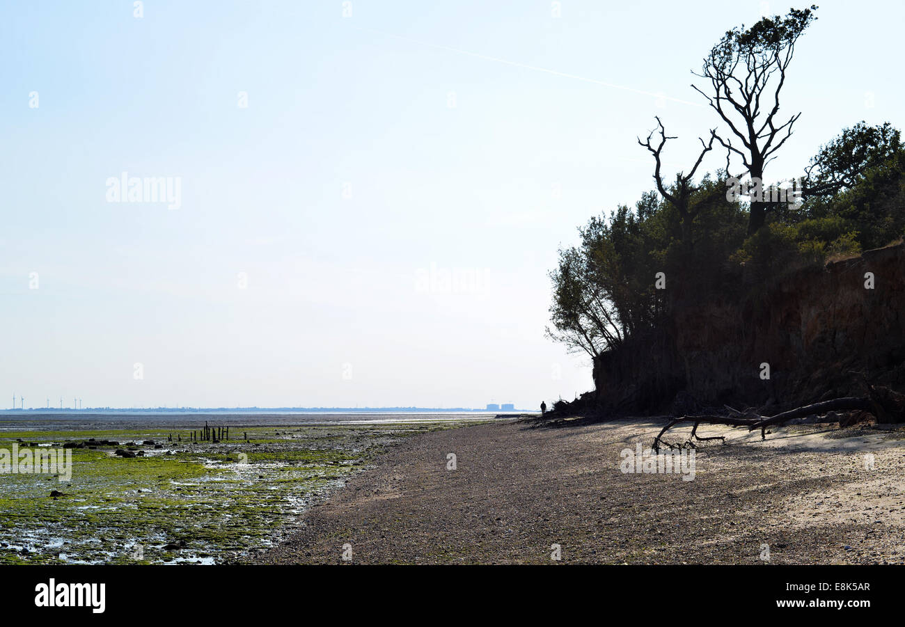 East Mersea Beach