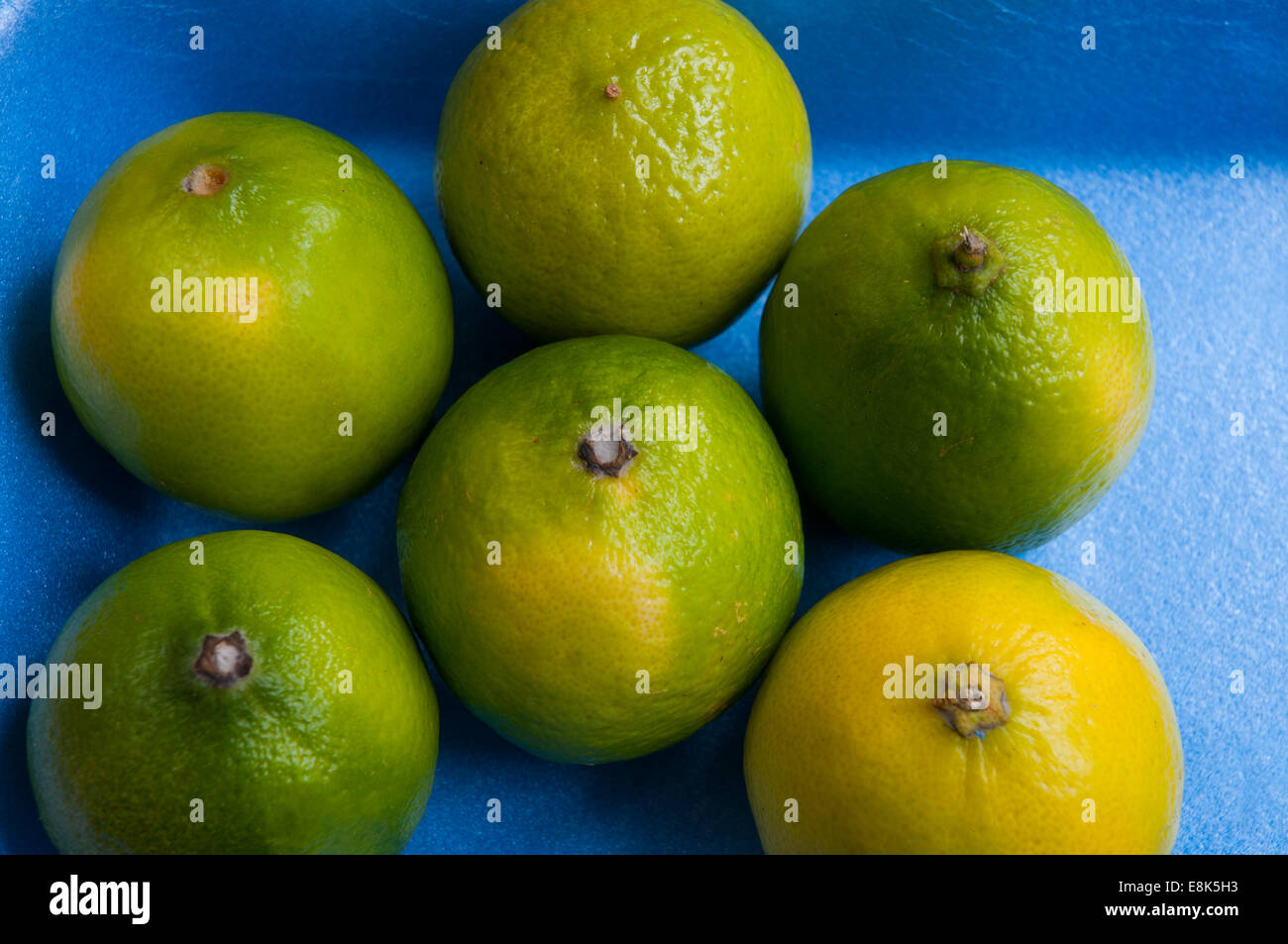 Limes. Stock Photo