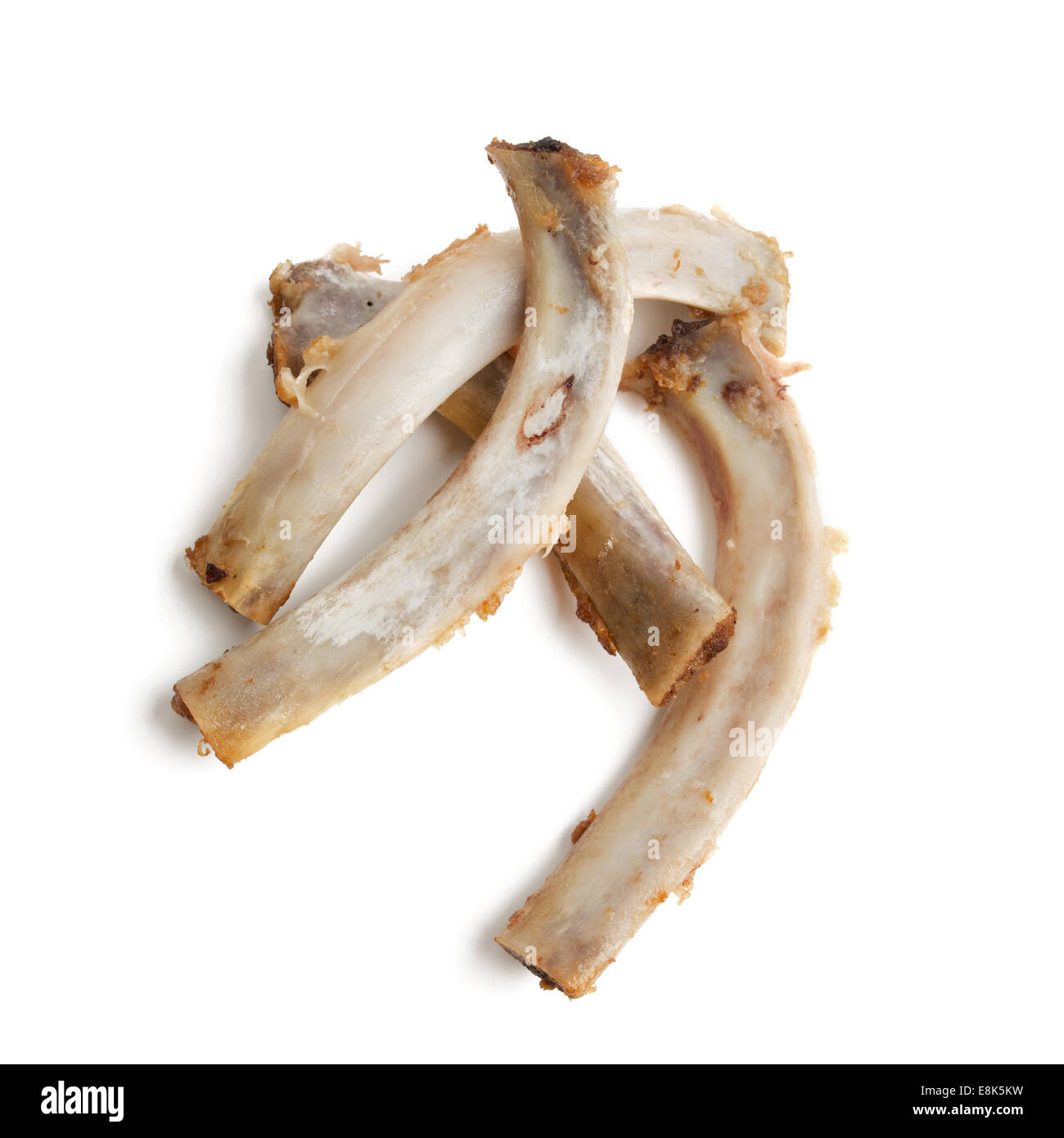 Can Dogs Eat Rib Bones What You Need To Know Spoiled 59 OFF