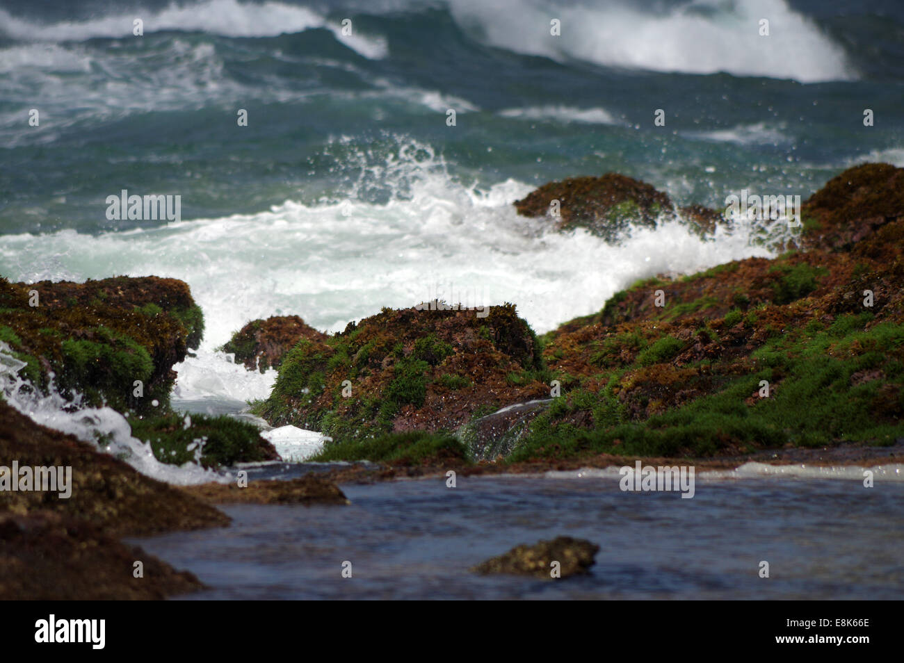Rock pools at Mission Rocks - iSimangaliso Wetland Park, South Africa Stock Photo