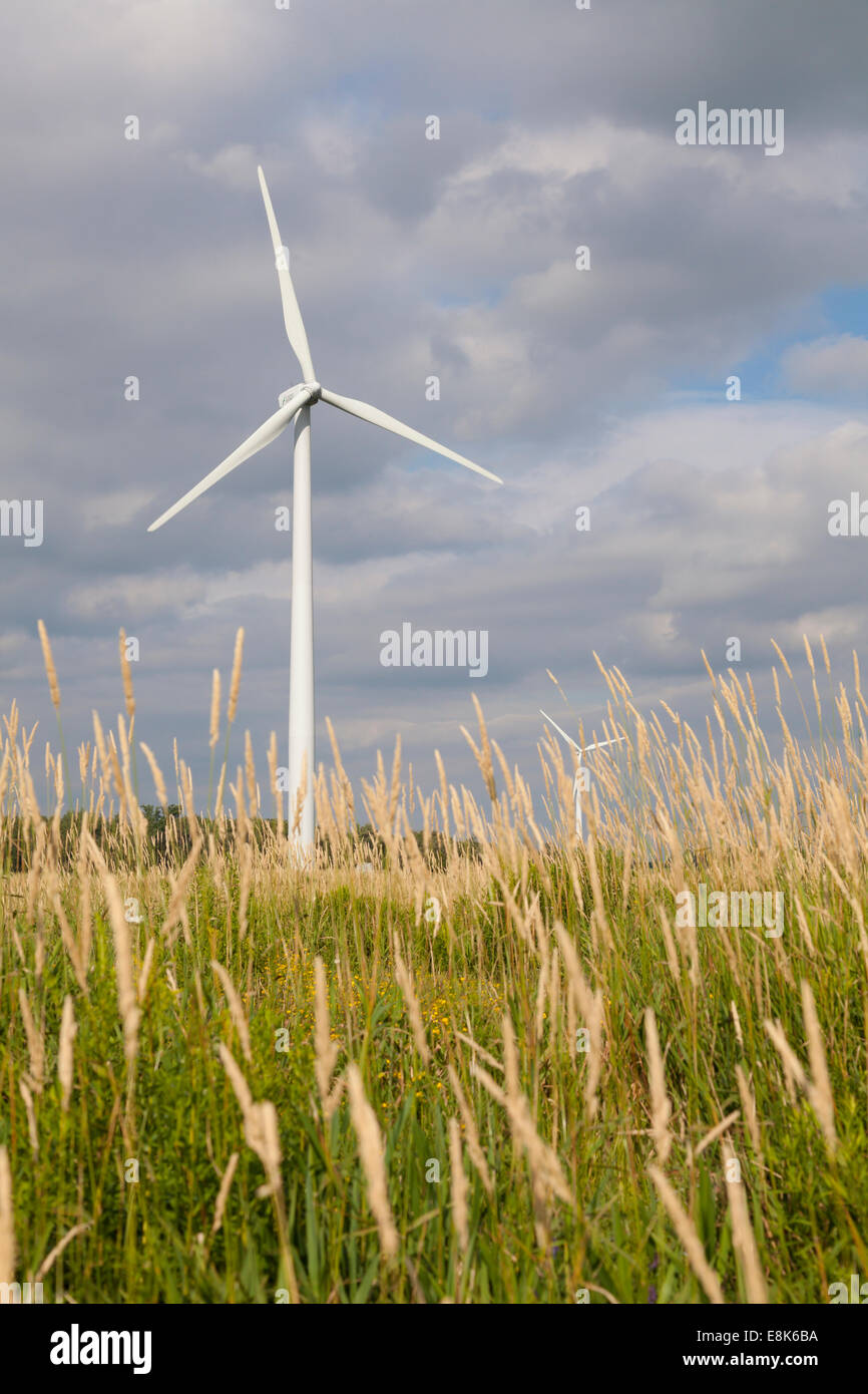 A wind turbine in a grassy field. Grey county, Ontario, Canada Stock
