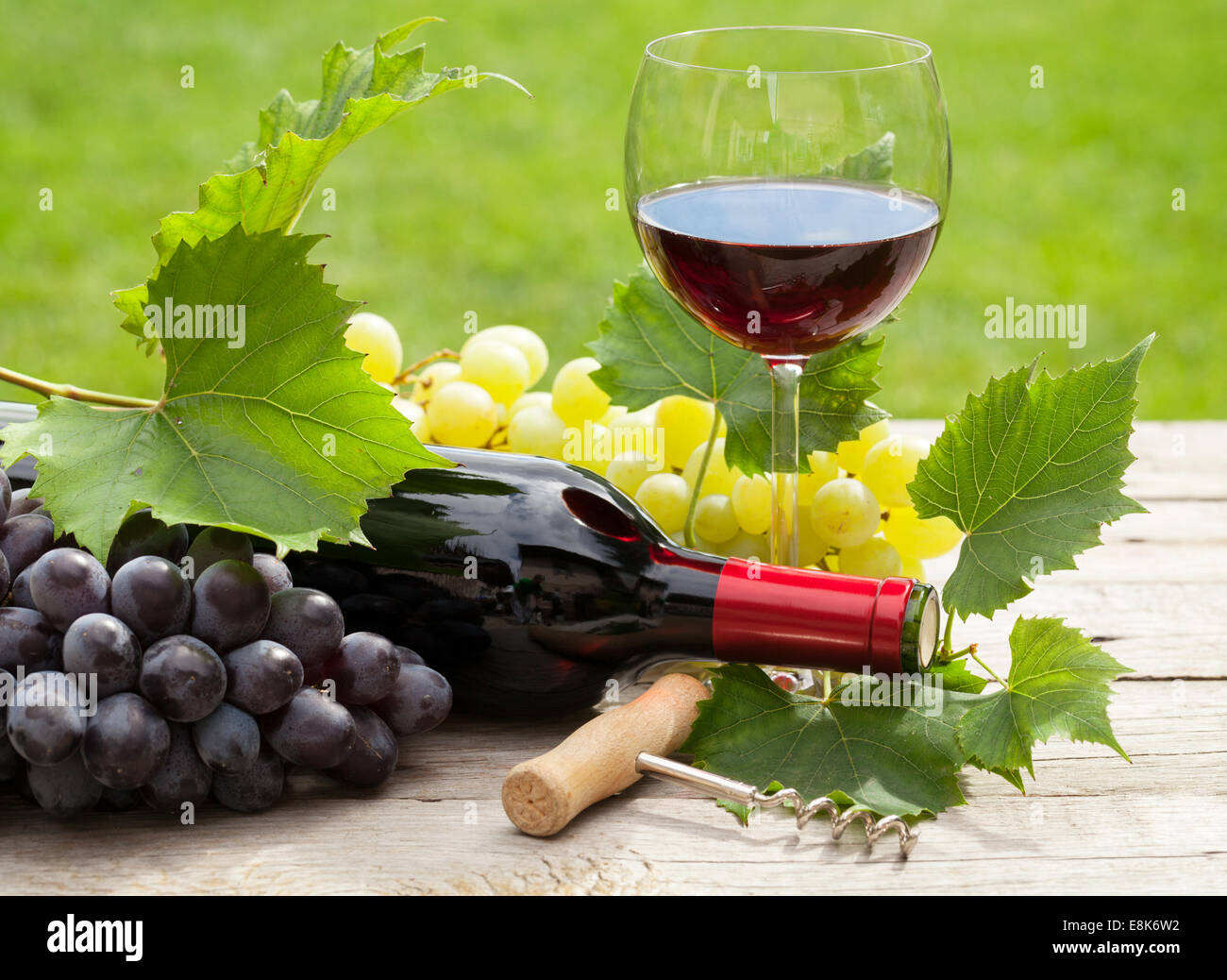Red wine glass and bottle with bunch of grapes in sunny garden Stock ...