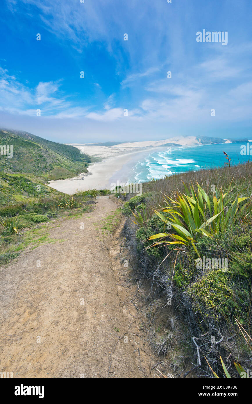 New Zealand, North Island, Cape Reinga, Te Werahi Beach Track (Large format sizes available) Stock Photo