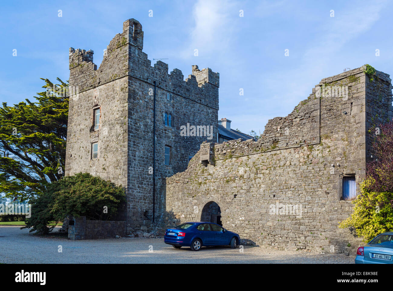 Killiane Castle Country House and Farm, Killiane, Drinagh, Wexford, Ireland Stock Photo
