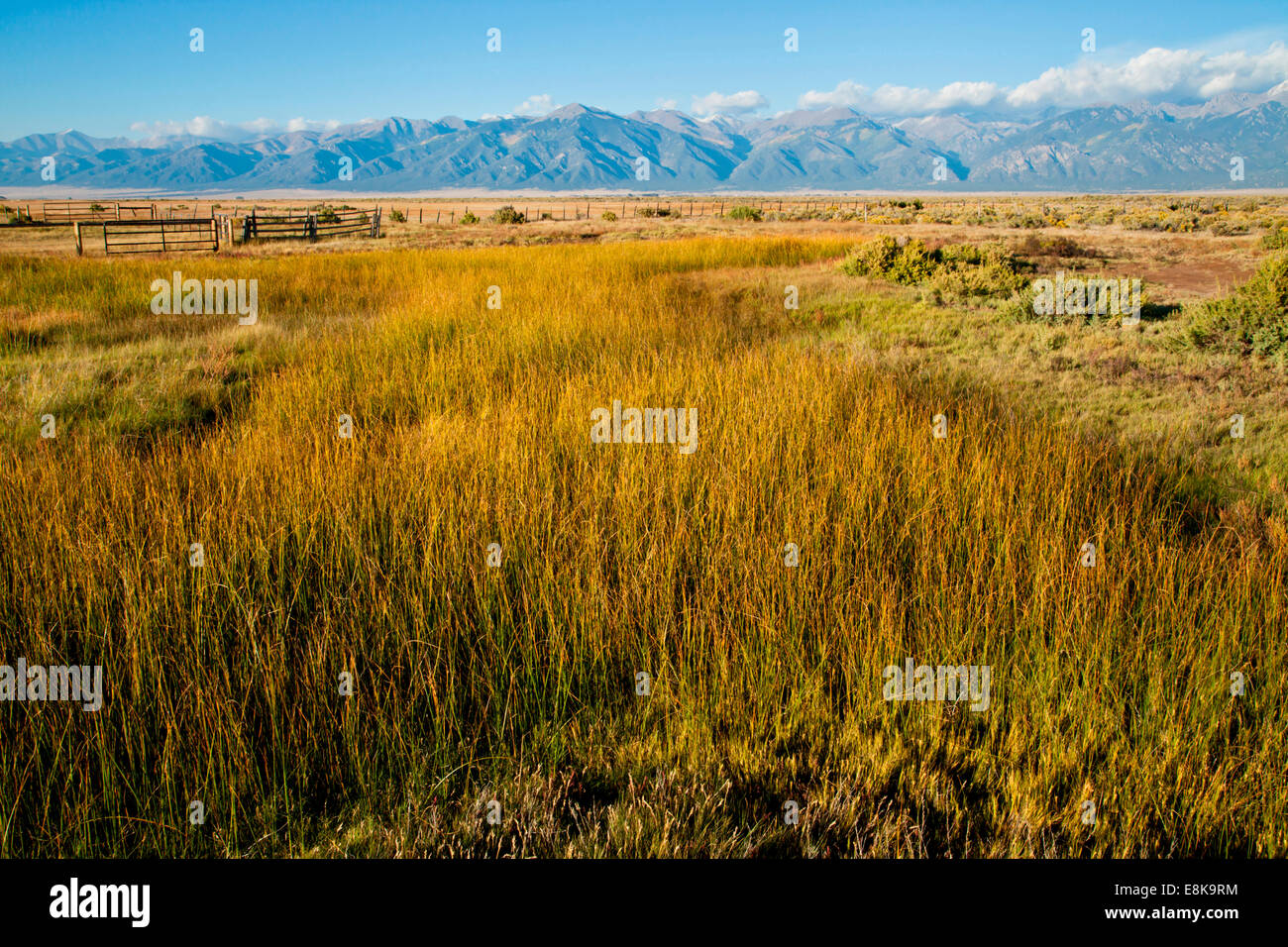 Alkali flat hires stock photography and images Alamy