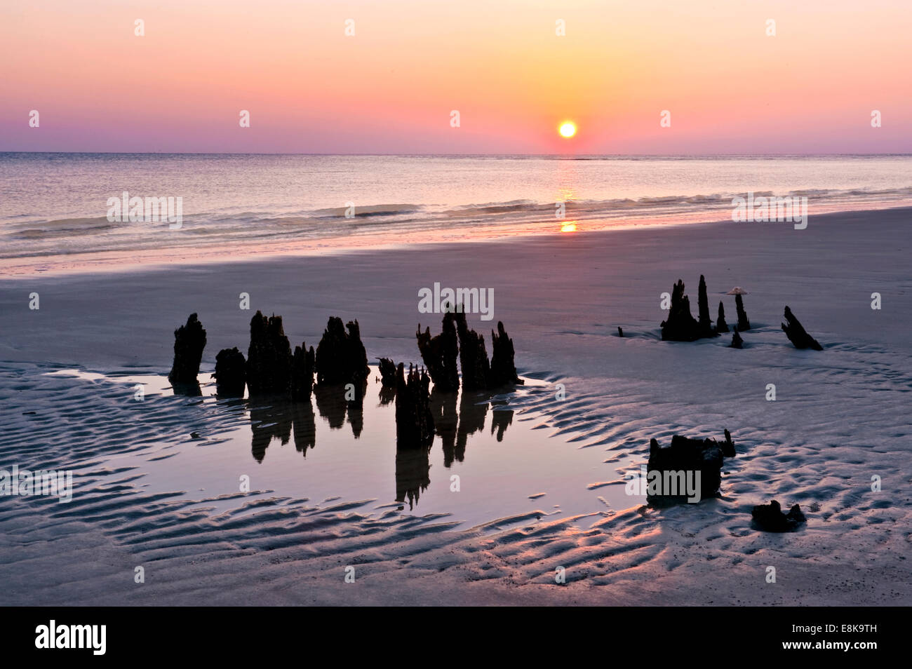 USA, Jekyll Island, Driftwood Beach Sunrise Stock Photo Alamy
