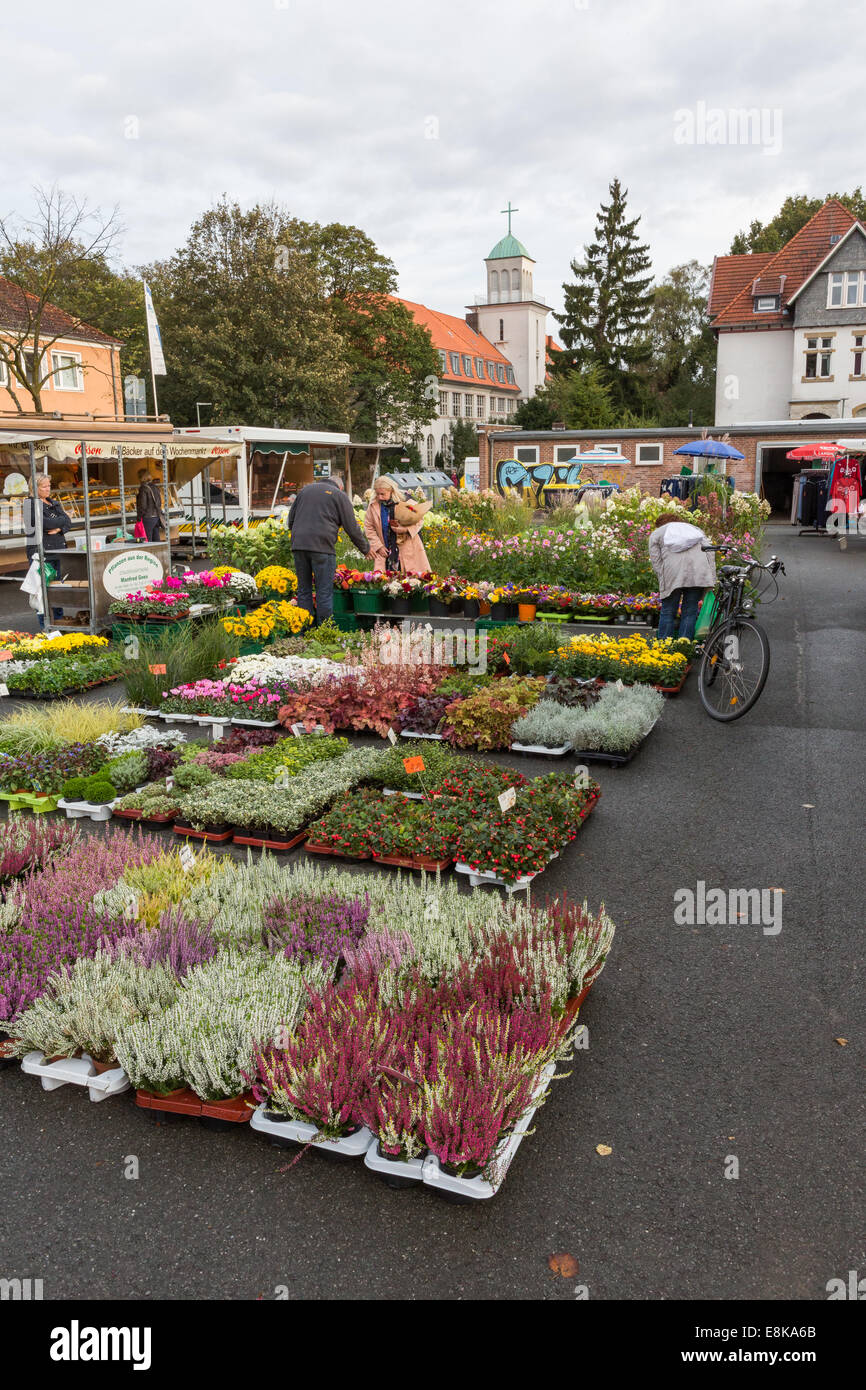 Customers at a flower and plant stall at the Jakobuskirchplatz market in Bielefeld, Germany Stock Photo