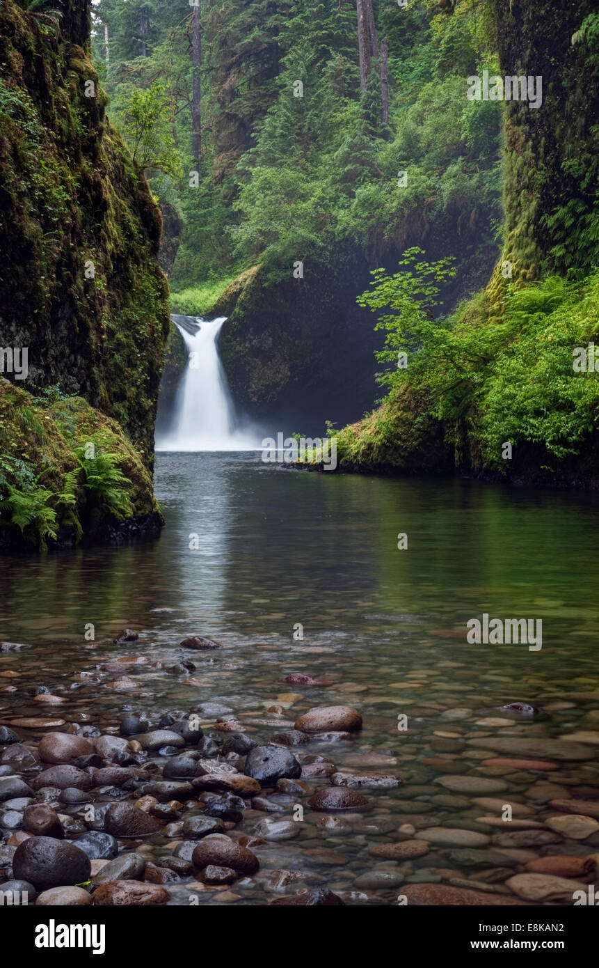 USA, Oregon, Columbia River Lower Punchbowl Falls Stock Photo