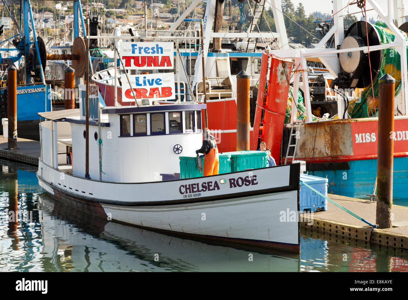 Chelsea Rose High Resolution Stock Photography And Images Alamy