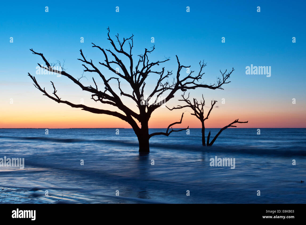 USA, South Carolina, Edisto Island, Botany Bay, Boneyard Beach Dawn