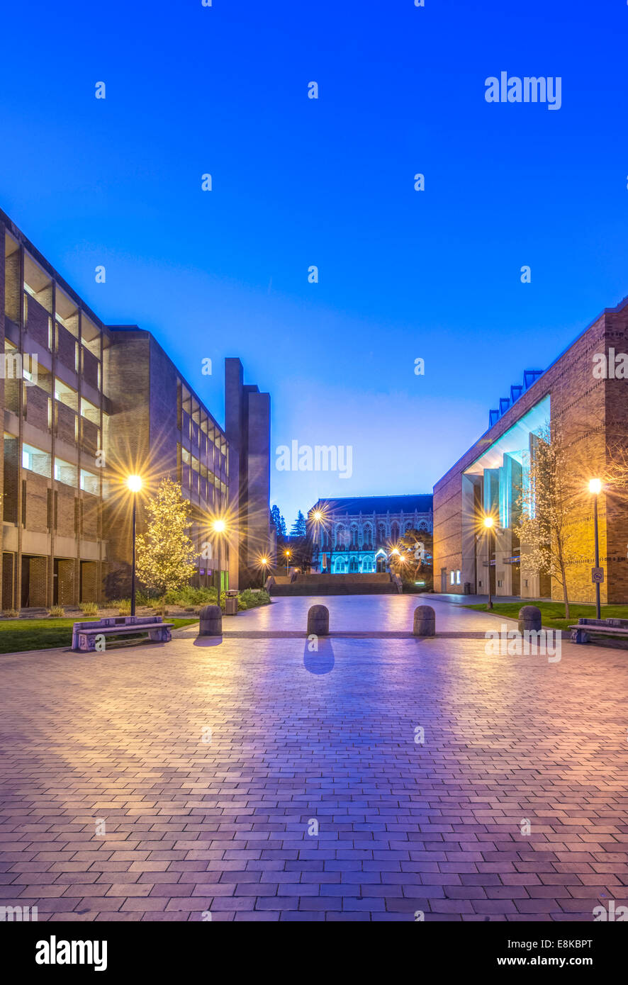 USA, Washington, Seattle, University of Washington Campus at Dawn (Large format sizes available) Stock Photo