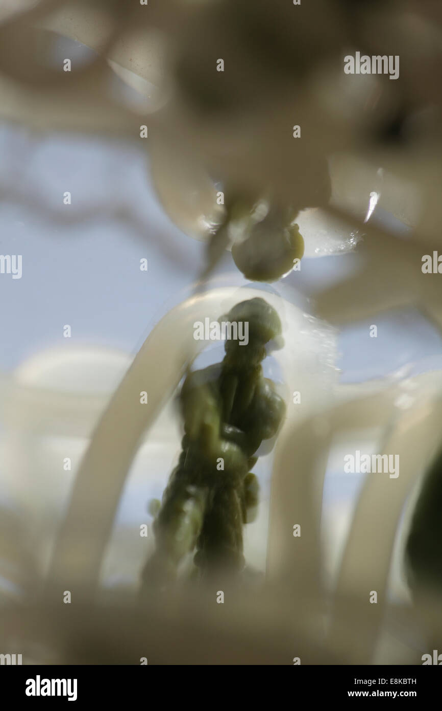 Blurred figurine of a soldier entangled in snares. Stock Photo