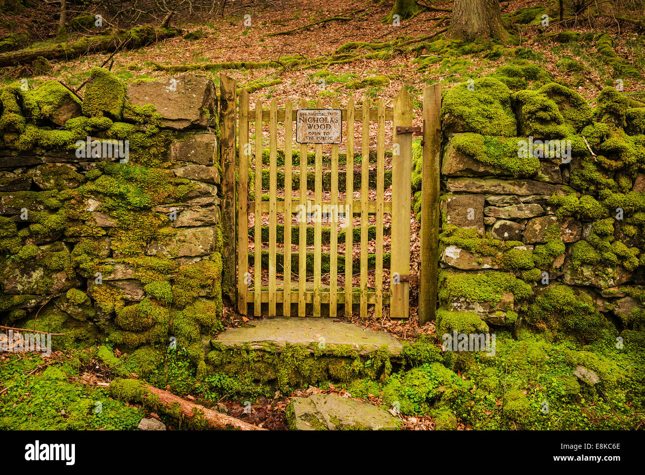 Nicholas wood gate, Grasmere, English Lake District, UK. Stock Photo