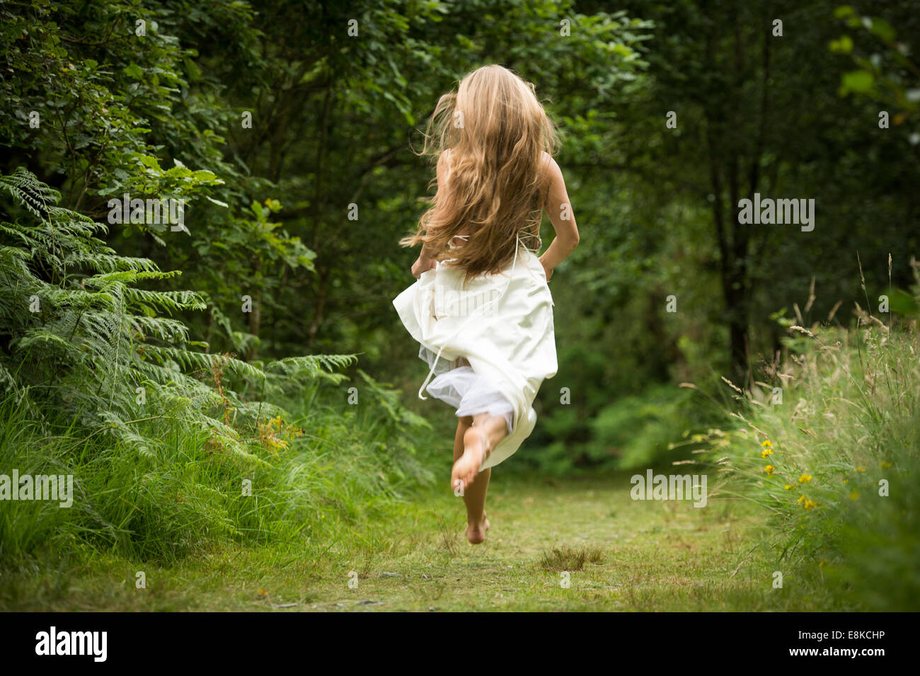 Runaway bride, Rear view of a caucasian slim healthy young woman girl with long blonde hair running  away on a path in woodland forest wearing white wedding dress frock in the countryside UK Stock Photo