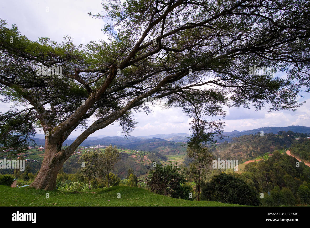 Terrace farming rwanda hi-res stock photography and images - Alamy