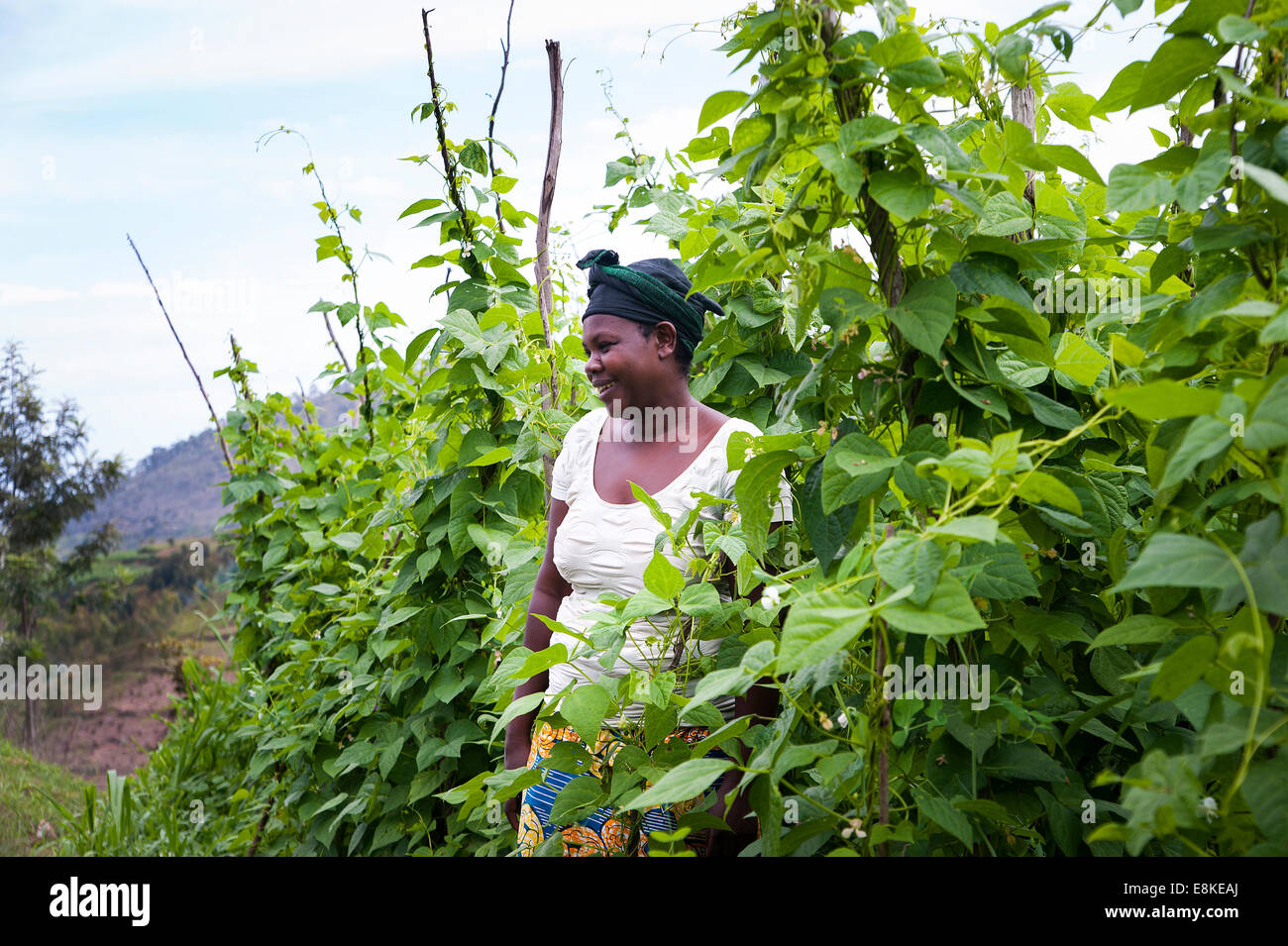RWANDA, NYAMAGABE: Marie Mukadera lives in one of the poorest districts of Rwanda. She has a small house and a piece of land. Stock Photo