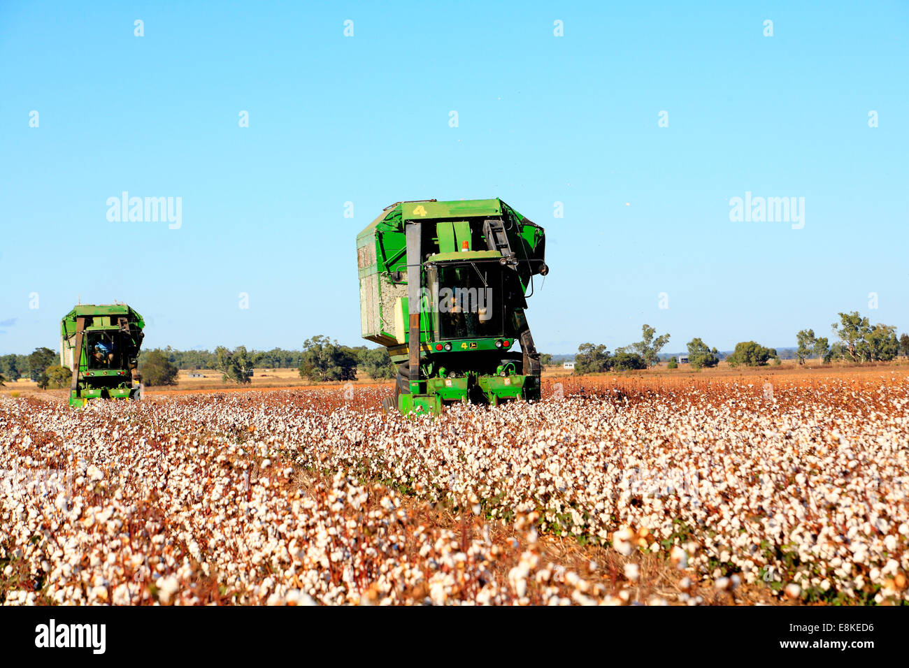 Two John Deere cotton harvesting machines. Narrabri, western plains NSW, Australia Stock Photo