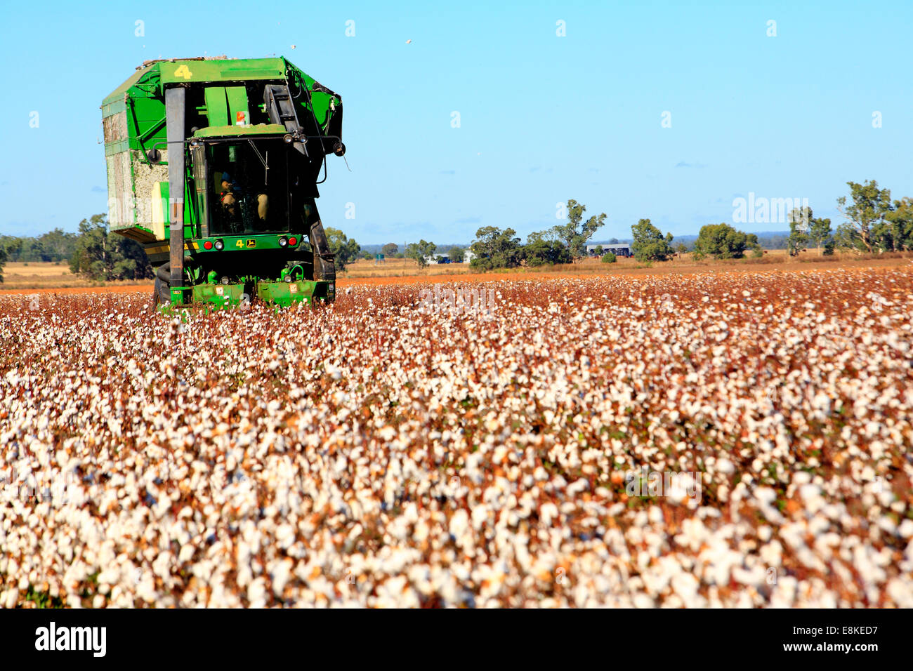 a John Deere cotton harvesting machine. Narrabri, western plains NSW, Australia Stock Photo