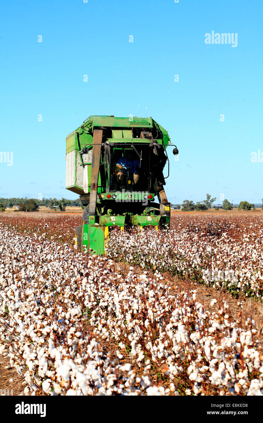 a John Deere cotton harvesting machine. Narrabri, western plains NSW, Australia Stock Photo