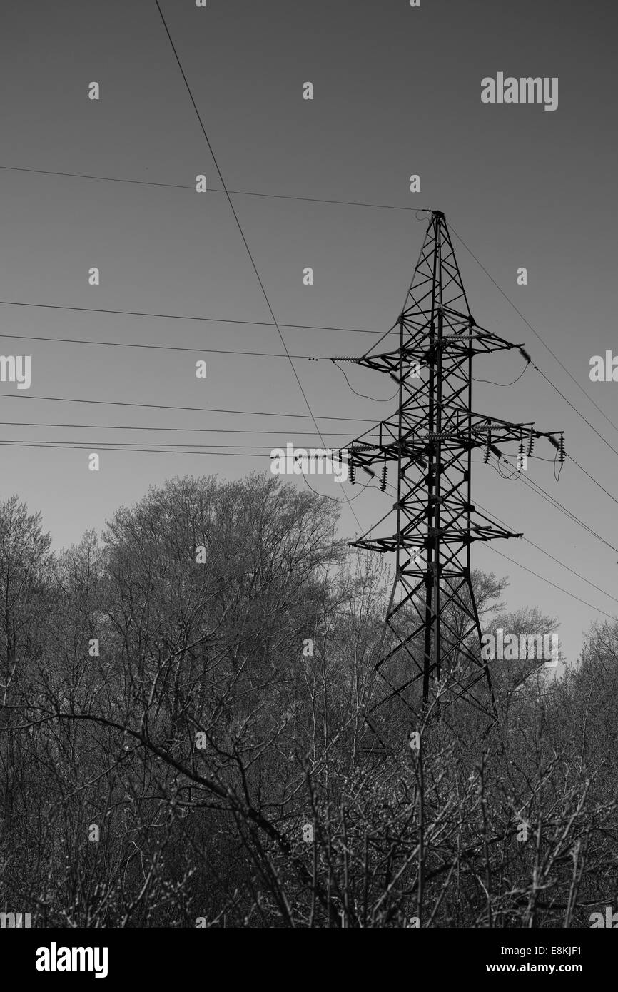 High voltage tower. Black and White image. Astonishing sharpness image. Medium format quality. Stock Photo