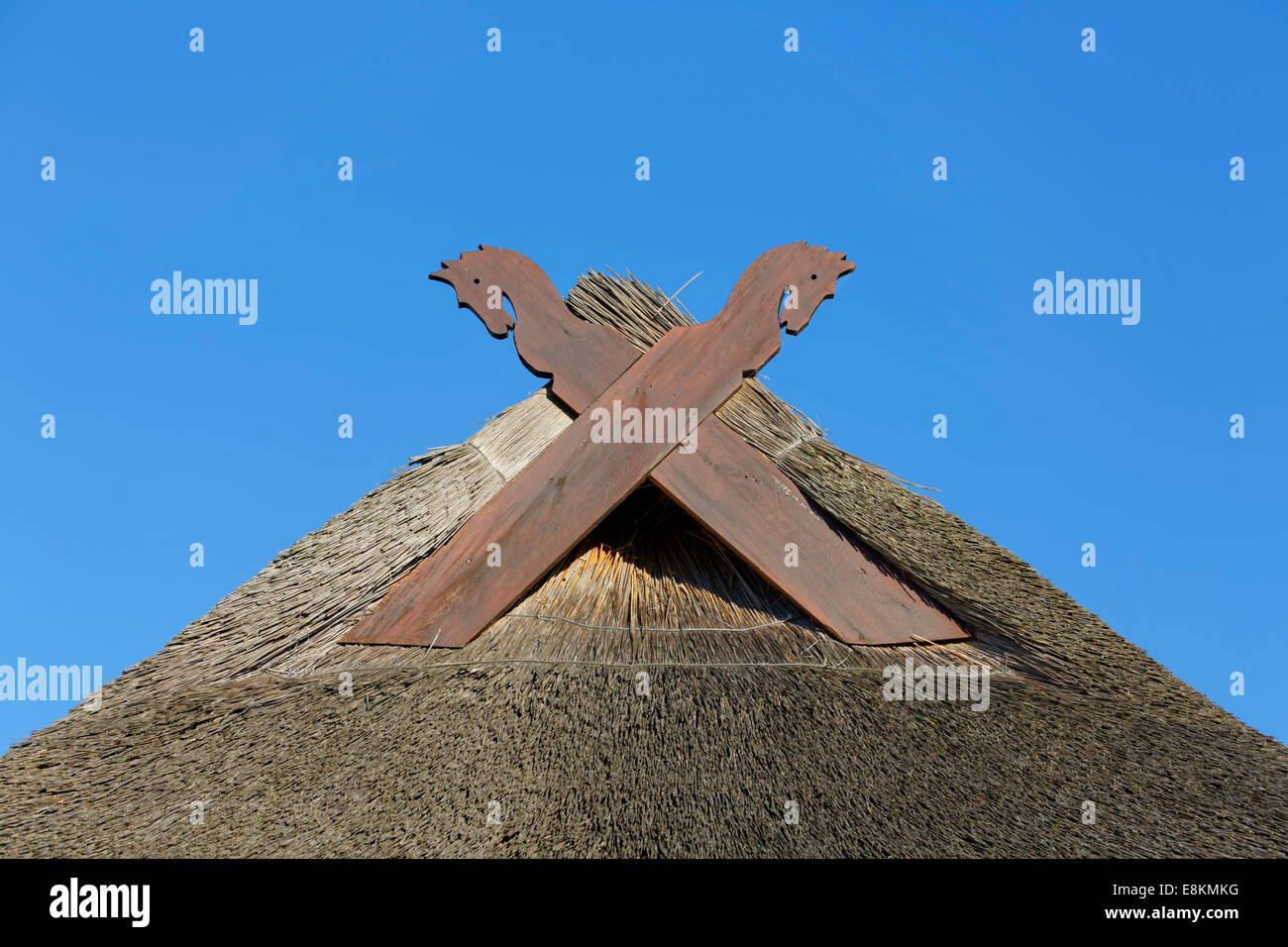 Thatched roof, horse heads or Muulapen as with gable adornment, Ahrenshoop, Darß, Mecklenburg-Vorpommern, Germany Stock Photo