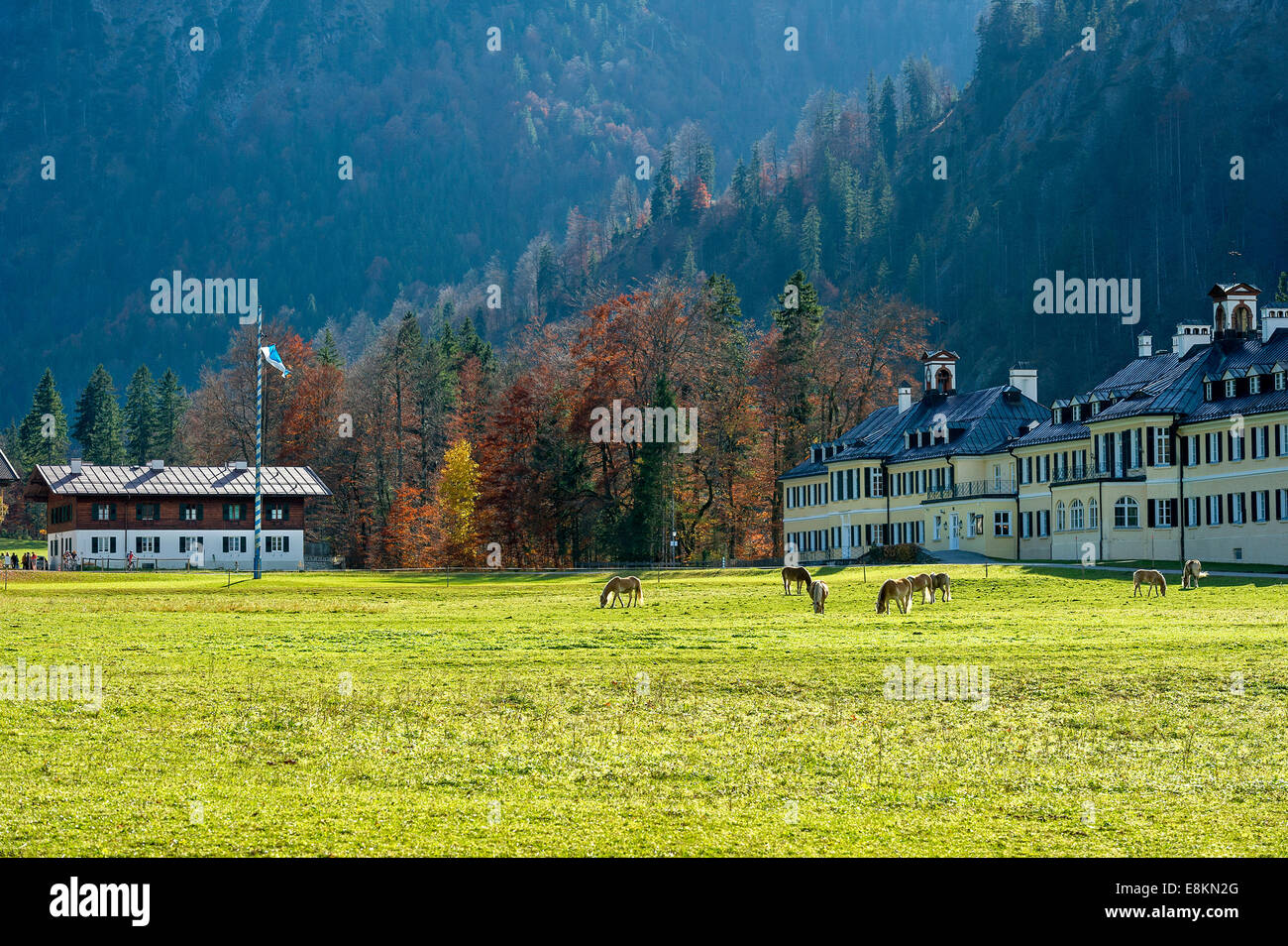 Horses on the pasture, Altes Bad of the Holy Cross, and educational center of the Hanns Seidel Foundation, former bathhouse Stock Photo