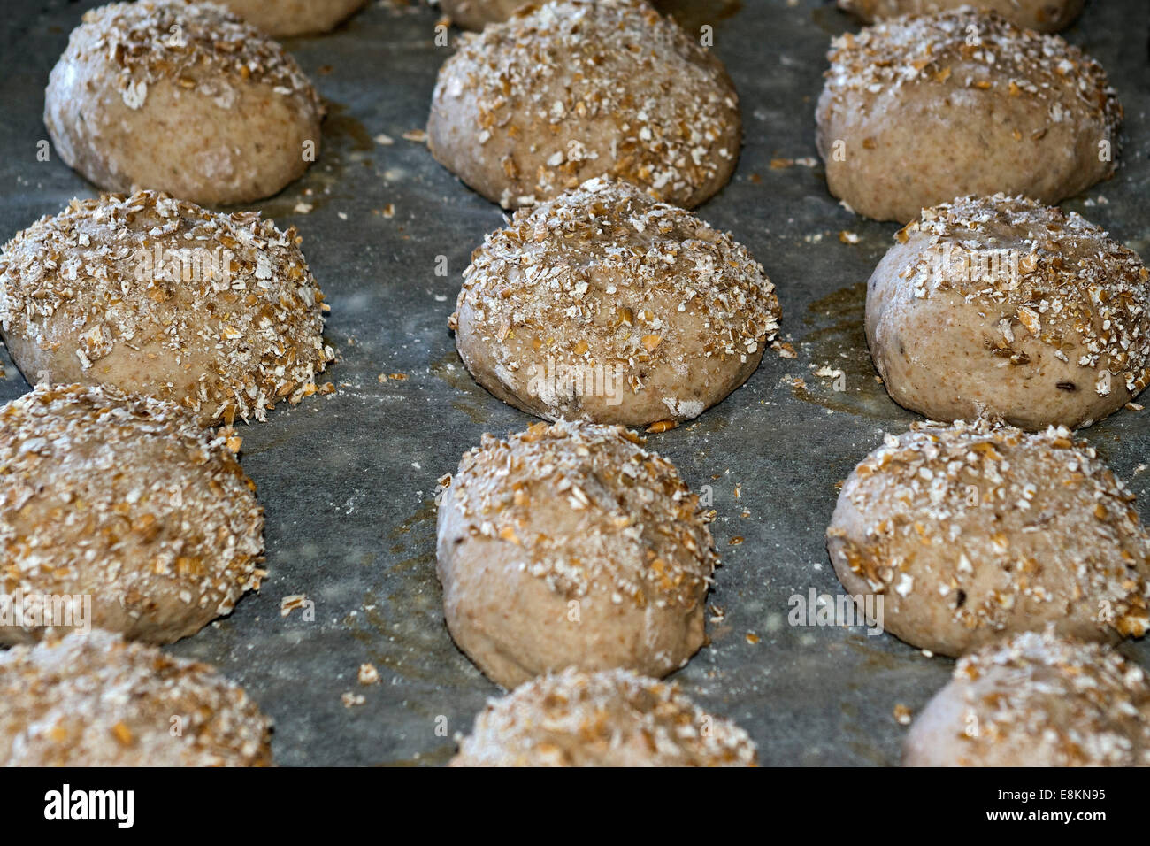 Formed dough for wholemeal rolls, Schwaz, Tyrol, Austria Stock Photo