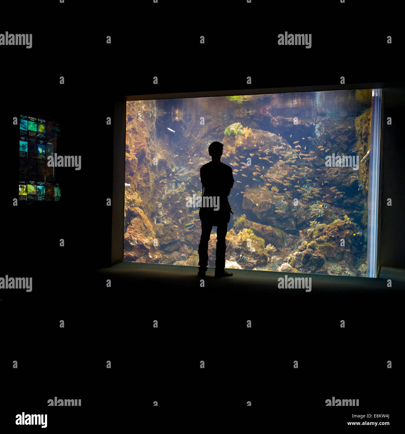 Kagoshima Aquarium, Kyushu, Japan Stock Photo Alamy