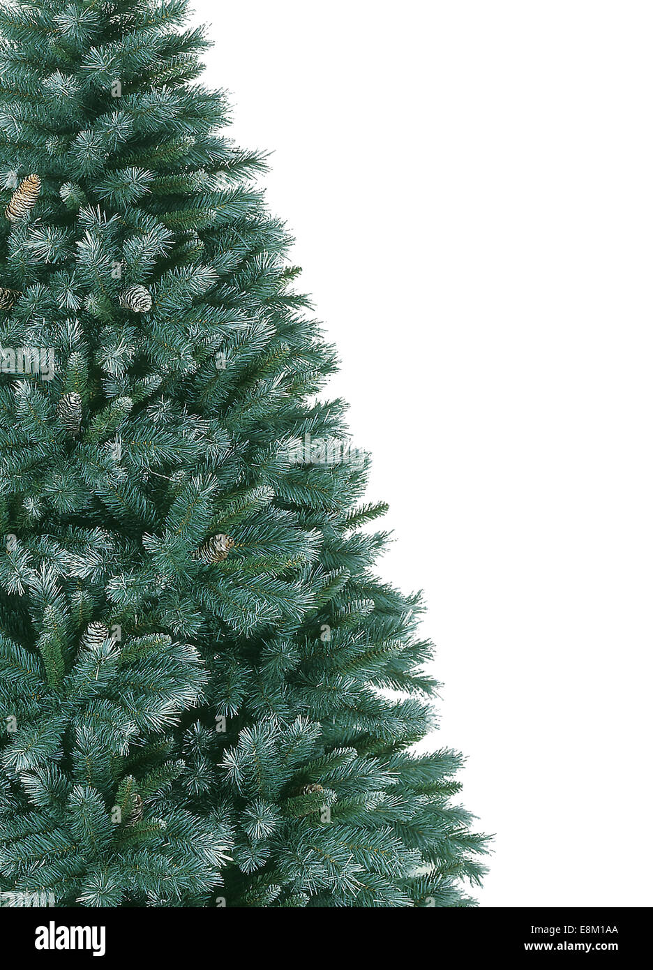 Green christmas tree Stock Photo