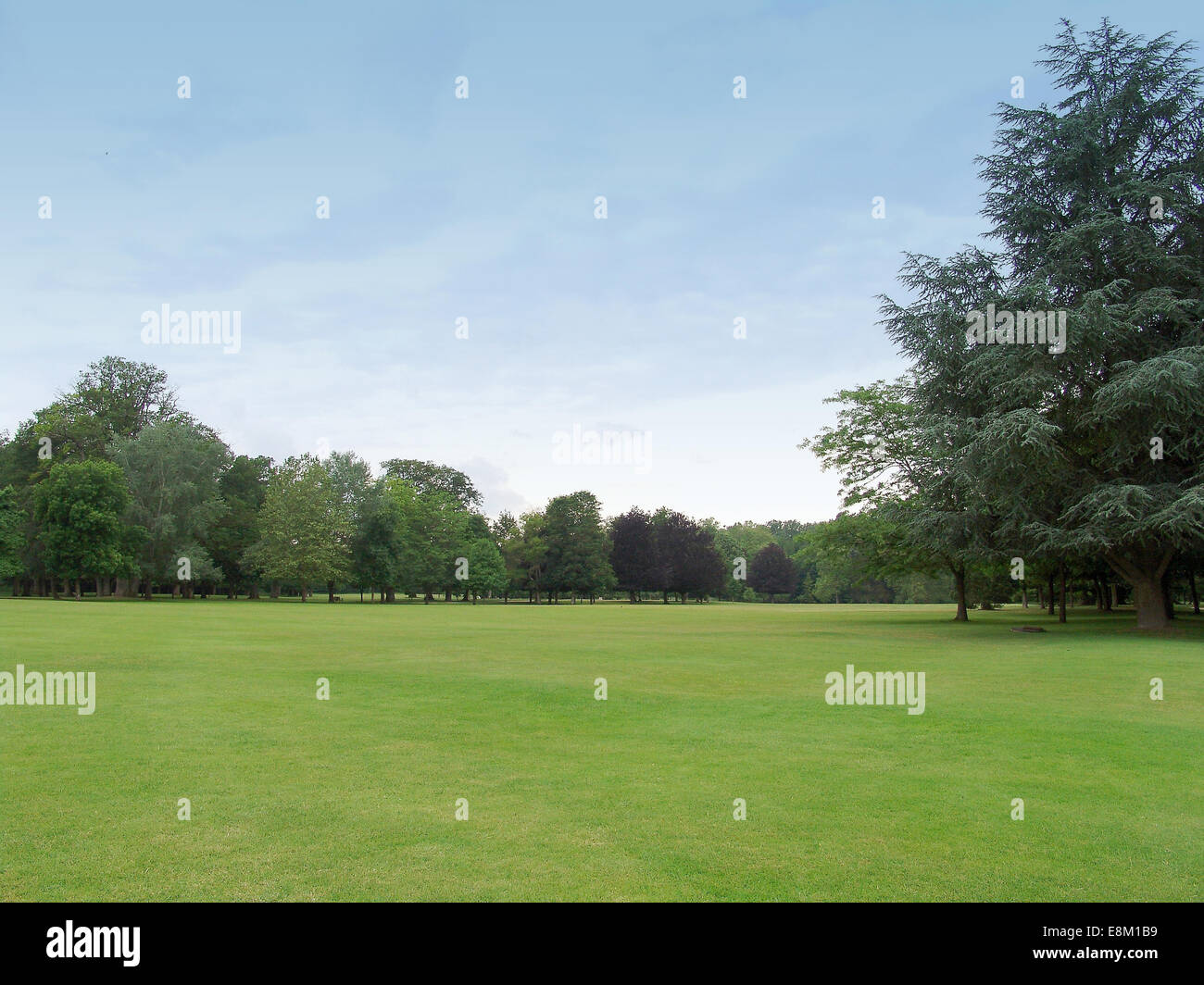Green grass in the park hi-res stock photography and images - Alamy