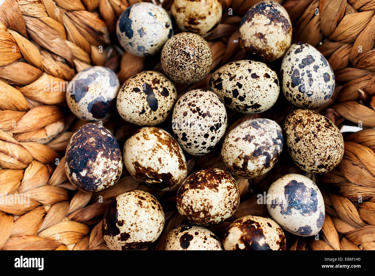 quail eggs in basket closeup Stock Photo Alamy